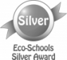 Eco Schoool SIlver Award